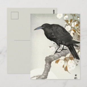 Cartão Postal Corvo Corvo Koson Pássaro Japonês