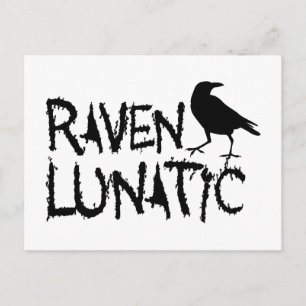 Cartão Postal Corvo Preto Lunático Raven