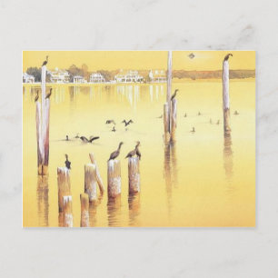 Cartão Postal "Corvos-marinhos" Watercolor Beach Birds