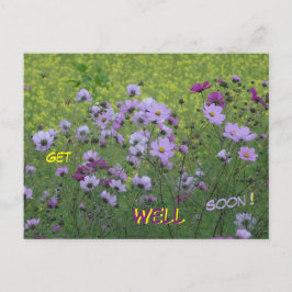 Cartão Postal Cosmea & Rapeseeed Field Obtenha Bem Em Breve Cart