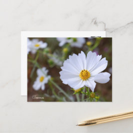 Cartão Postal Cosmos ポストカード