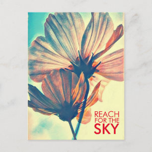 Cartão Postal Cosmos Reach for the Sky
