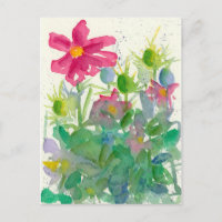 Cosmos Rosa Nigella Flower Garden Watercolor