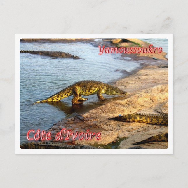 Cartão Postal Costa do Marfim - Yamoussoukro - (Frente)