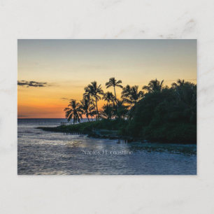 Cartão Postal Costa litoral cênica de Naples, Flórida,