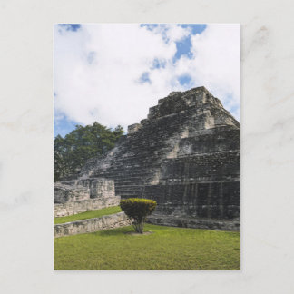 Cartão Postal Costa Maya Chacchoben Mayan Ruins