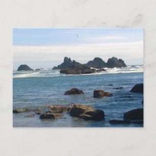 Cartão Postal Costa no Oregon Seal Rock
