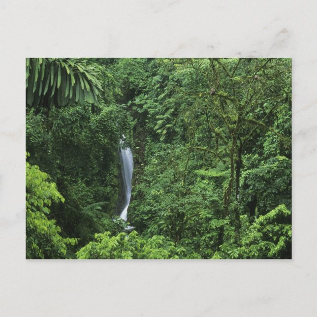 Cartão Postal Costa Rica, área do vulcão Arenal, pontes de enfor (Frente)