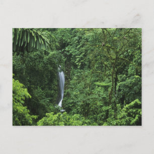 Cartão Postal Costa Rica, área do vulcão Arenal, Pontes Pendurad