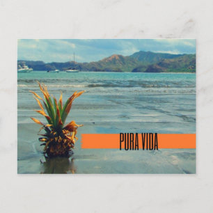 Cartão postal Costa Rica Beach Pura Vida