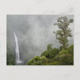 Cartão Postal Costa Rica, floresta nublada nas montanhas perto d