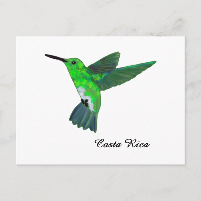 Cartão Postal Costa Rica Hummingbird (Frente)