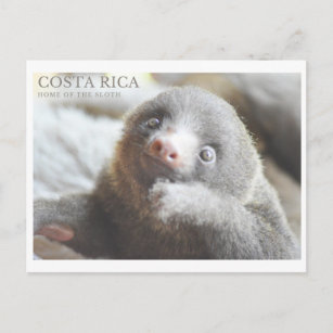 Cartão postal Costa Rica souvenir 