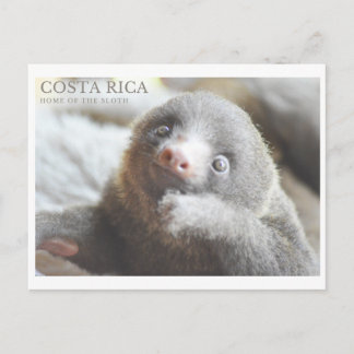 Cartão postal Costa Rica souvenir