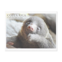 Cartão postal Costa Rica souvenir