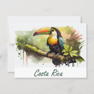 Cartão Postal Costa Rica Toucan
