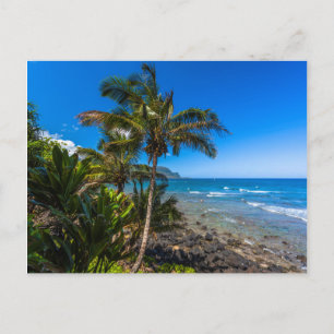 Cartão Postal Costa tropical