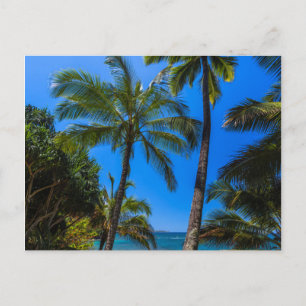 Cartão Postal Costa tropical 2