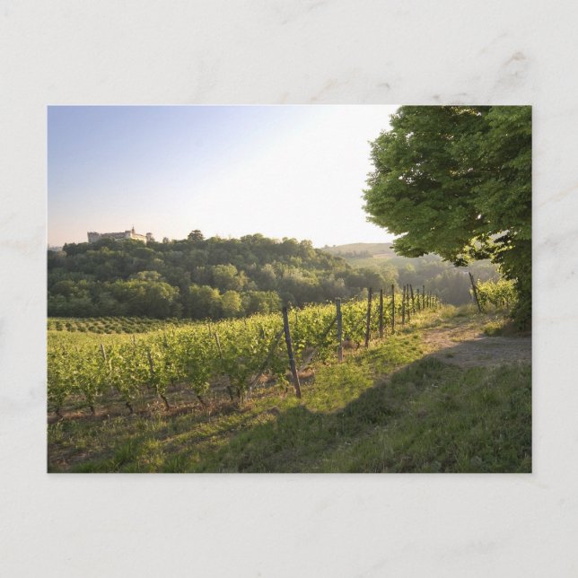 Cartão Postal Costigliole d'Asti, Piemonte, Itália (Frente)