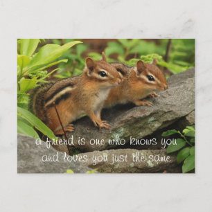 Cartão Postal Cota de Amigos para Bebês Bonitos