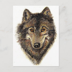 Cartão Postal Cota Wolf and Pack - Coleção de Animais