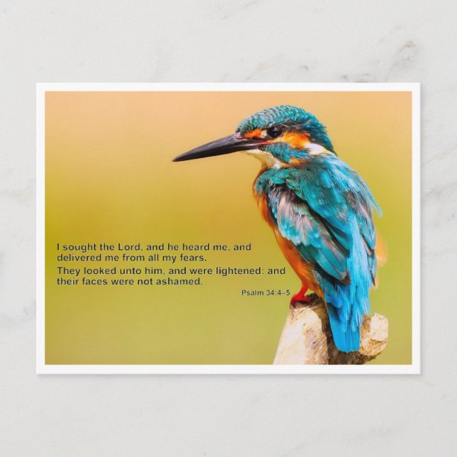 Cartão Postal Cotação bíblia - Salm 34 (Frente)