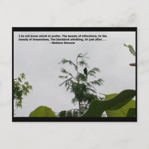 Cartão Postal Cotação Wallace Stevens