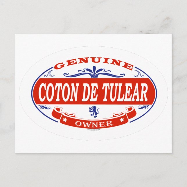 Cartão Postal Coton De Tulear  (Frente)
