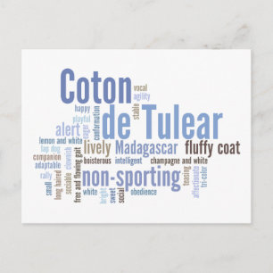 Cartão Postal Coton de Tulear