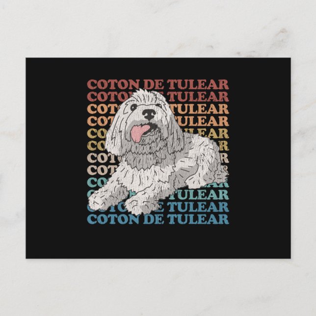 Cartão Postal Coton de Tulear | Proprietário do cão Coton de Tul (Frente)