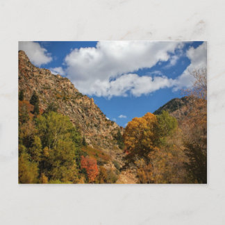 Cartão Postal Cottonwood Canyon Scenic Byway Autumn em Utah