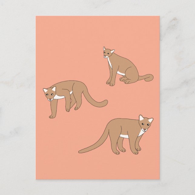 Cartão Postal Cougar (Frente)