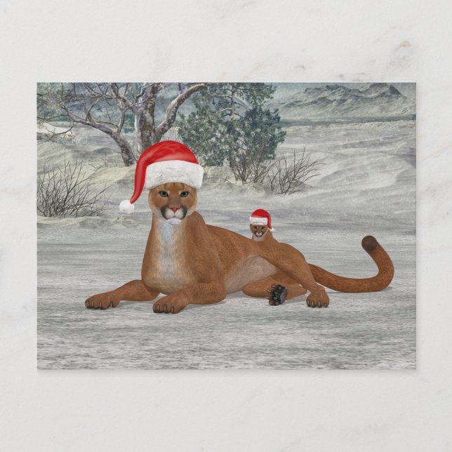 Cartão Postal Cougar De Natal Com Cubo (Frente)