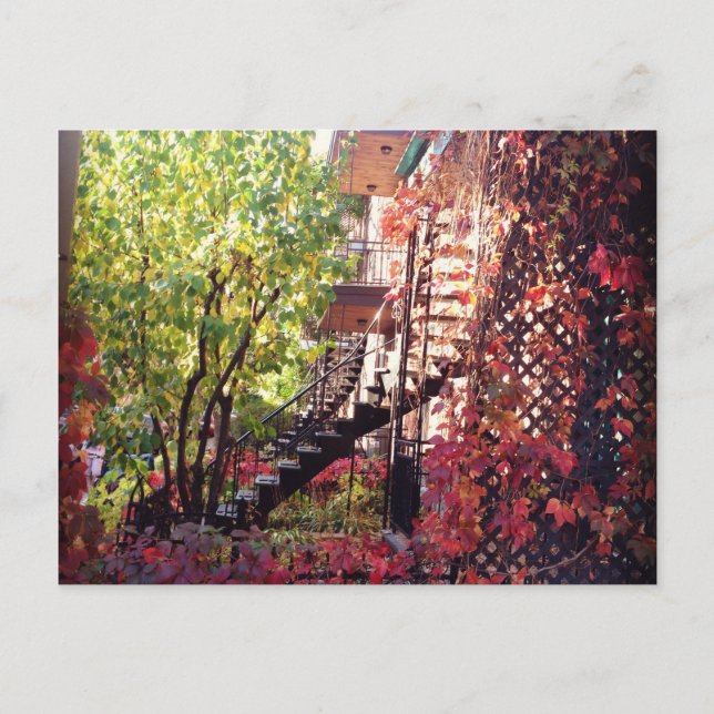 Cartão Postal couleur (Frente)