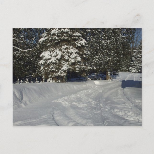 Cartão Postal Country Snowy Driveway (Frente)