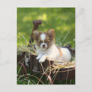 Cartão Postal CountryBumpkin