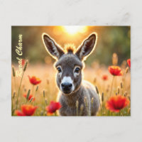 Countryside burkey curioso olhos arte pacífica