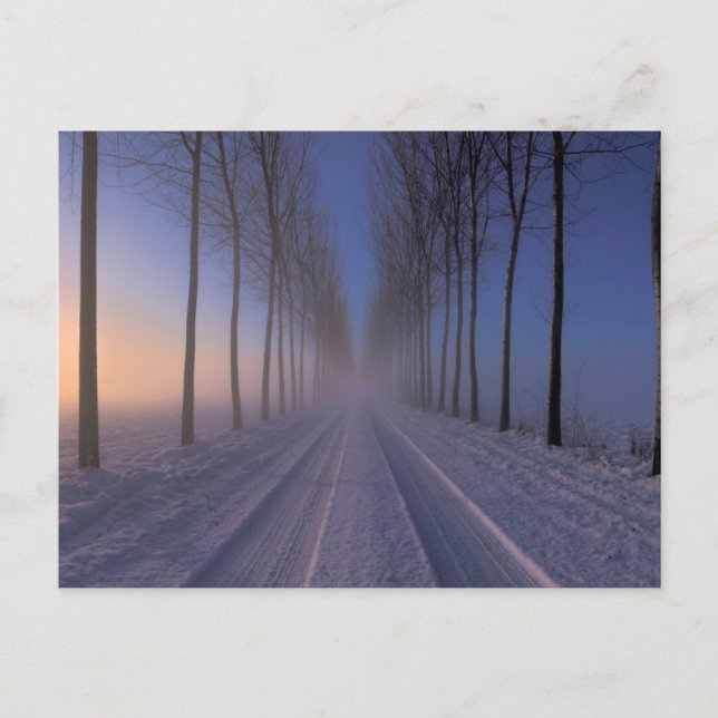 Cartão Postal Countryside Perto de Castagnole | Piemonte Itália (Frente)