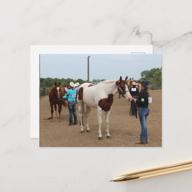 Cartão Postal County Fair Showmanship Paints and Quarter Horses (Frente/Verso In Situ)