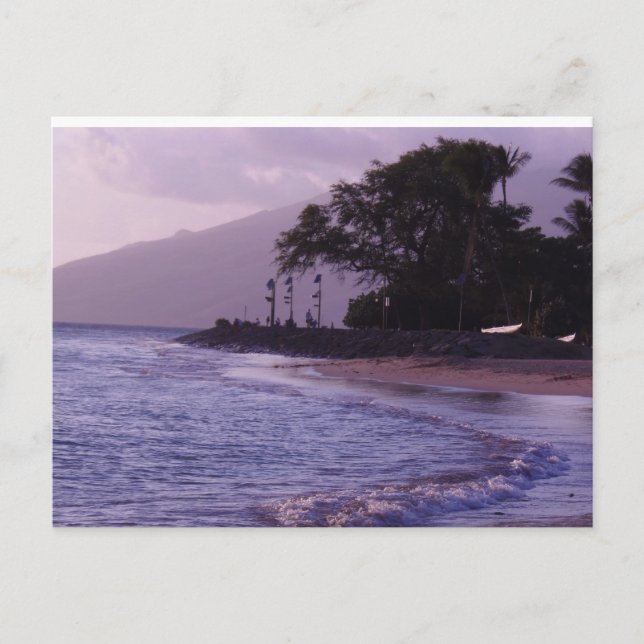 Cartão Postal Cove Park (Frente)