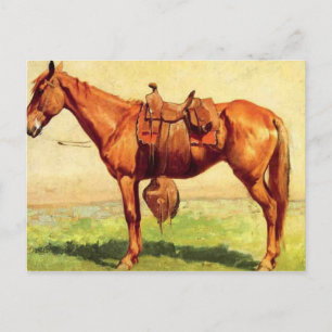 Cartão Postal Cow Pony