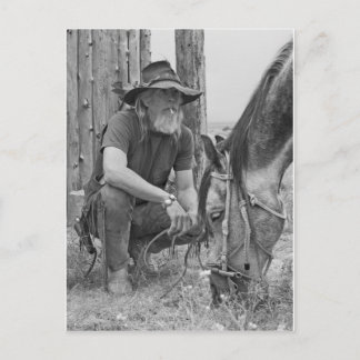 Cartão Postal Cowboy