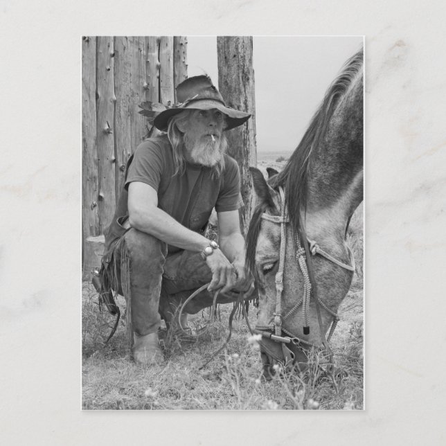 Cartão Postal Cowboy (Frente)