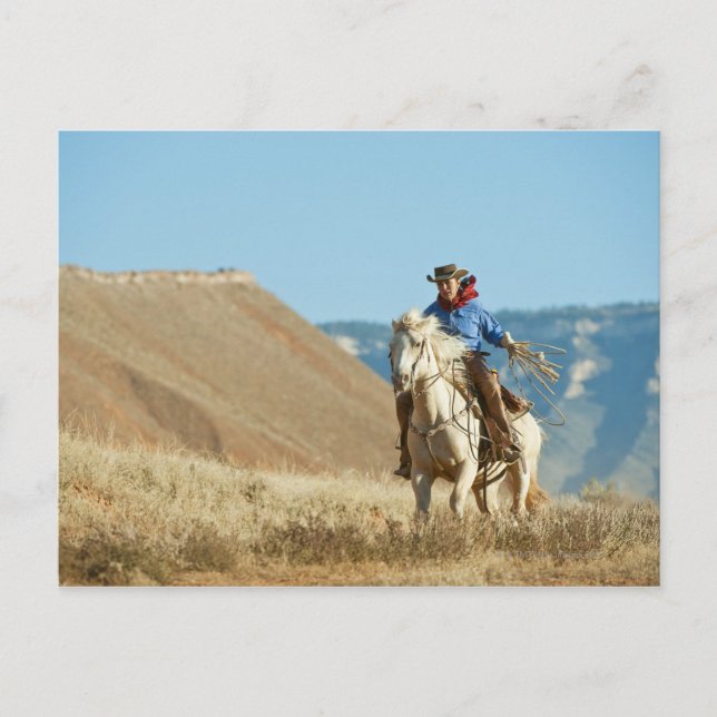 Cartão Postal Cowboy 13 (Frente)