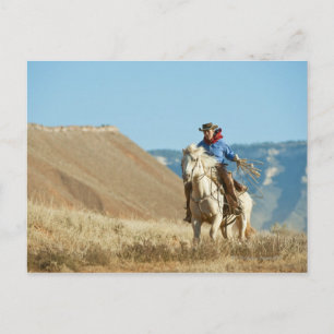 Cartão Postal Cowboy 13