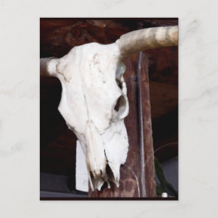 Cartão Postal Cowboy art caveira ocidental