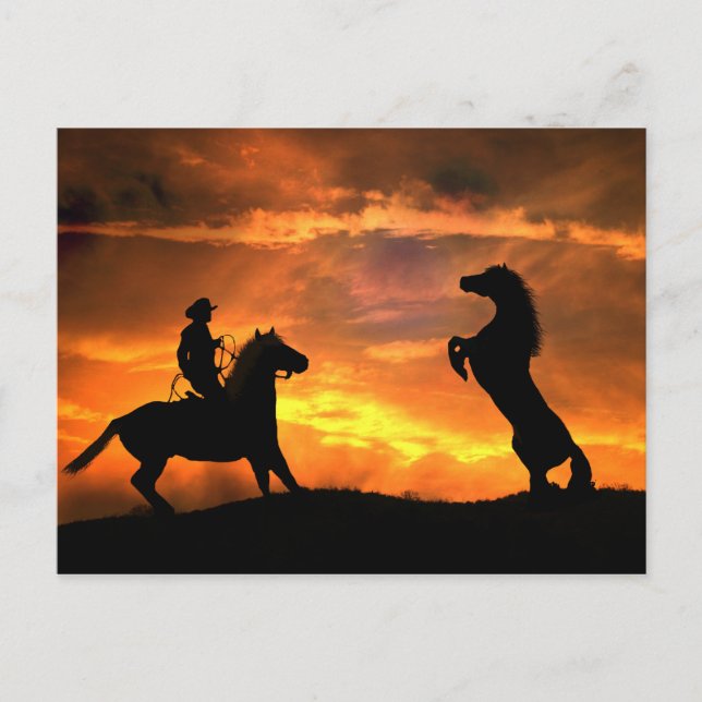 Cartão Postal Cowboy e País de Criação de Cavalos Selvagens Oest (Frente)