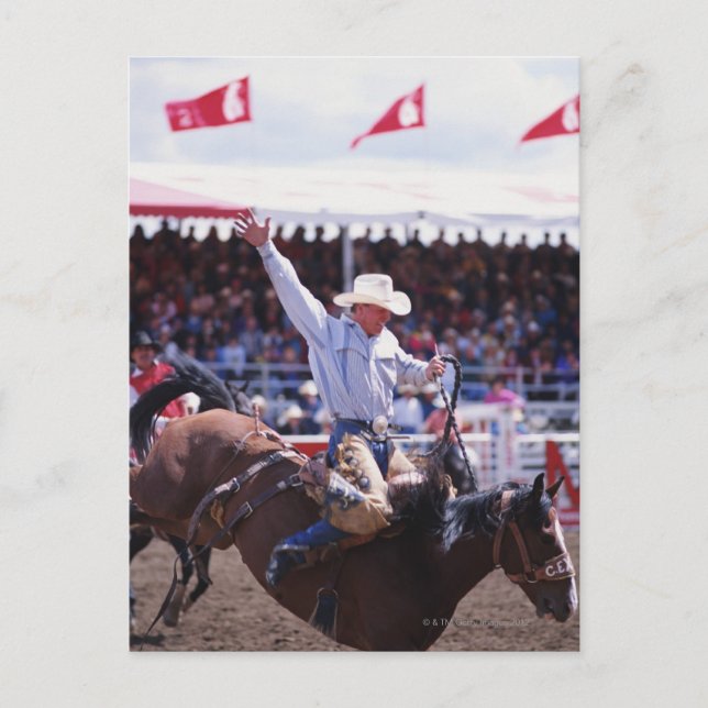 Cartão Postal Cowboy em um Rodeo (Frente)