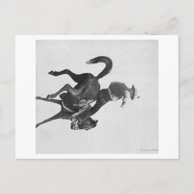 Cartão Postal Cowboy Ned Coy Montando um Potro Indomável Chamado (Frente)