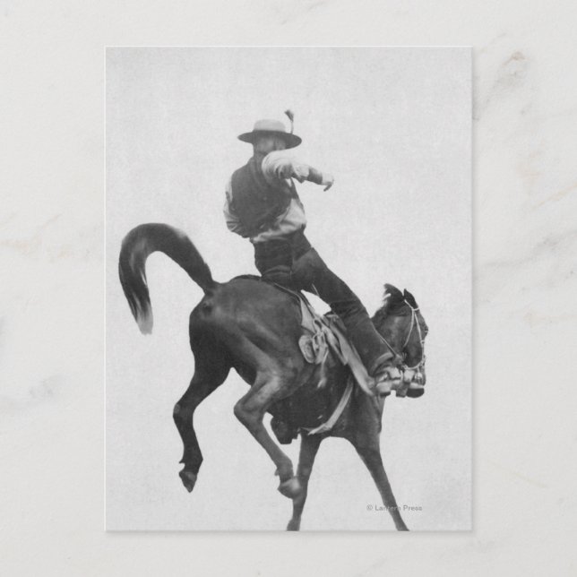 Cartão Postal Cowboy Ned Coy Riding Bronco (Frente)